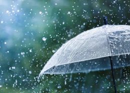 IMD Issues Orange Alert for Heavy Rainfall in Four States
