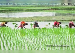 Andhra records 51% deficit rainfall; farmers advised not to cultivate paddy