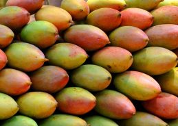 Centre approves procurement of Khopra, Totapuri mangoes in Tamil Nadu to protect farmers