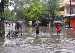 Gujarat: IMD issues red alert for very heavy rainfall in 13 districts Gujarat: IMD issues red alert for very heavy rainfall in 13 districts
