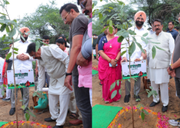 MoS Harsh Malhotra participates in ‘Ek Ped Maa Ke Naam’ plantation programme in New Delhi MoS Harsh Malhotra participates in ‘Ek Ped Maa Ke Naam’ plantation programme in New Delhi