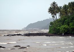 Goa receives ₹398 crore from Centre as tax devolution share Goa receives ₹398 crore from Centre as tax devolution share