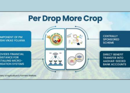 Over 115 lakh hectares brought under micro-irrigation under Per Drop More Crop scheme: Govt Over 115 lakh hectares brought under micro-irrigation under Per Drop More Crop scheme: Govt