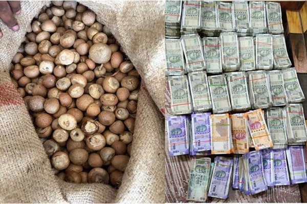 Nine Arrested as DRI Busts Areca Nut Import Fraud Network