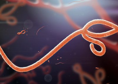 African Union calls for urgent action to contain Ebola outbreak across Africa