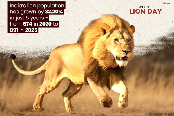 LS Speaker Om Birla extends greetings on occasion of World Lion Day