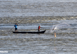 TN Govt says environmental expert team formed to look into pollution levels of Kosasthalaiyar river