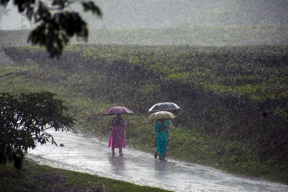 पड़ोसी राज्यों में भारी बारिश के अलर्ट से असम में हालात प्रभावित होने की आशंका