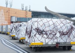 India sends relief supplies to earthquake-hit Colombia