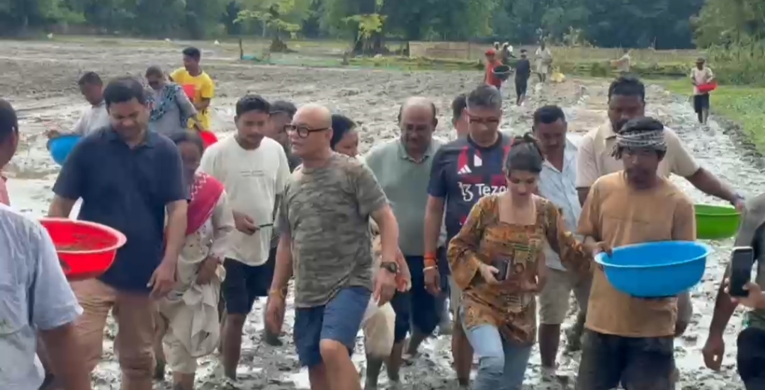 ডিমৌৰ আহোম পথাৰত উন্নত জাতৰ ধানৰ কঠীয়া সিঁচে কৃষিমন্ত্ৰী পীযূষ হাজৰিকাই