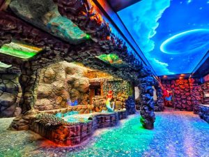 India’s first virtual zoo opens in Indore with 14-D cinema and virtual jungle safari facilities
