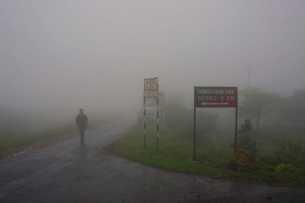 IMD warns of very heavy rainfall in Assam and Meghalaya today