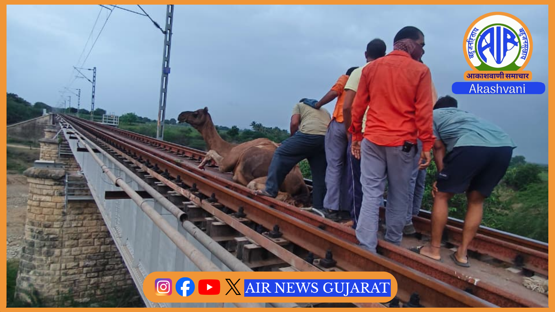 રેલવે બ્રિજ પર ફસાયેલા ઊંટને બચાવવા લોકોપાઈલટે લગાવી ઇમરજન્સી બ્રેક, અકસ્માત ટળ્યો