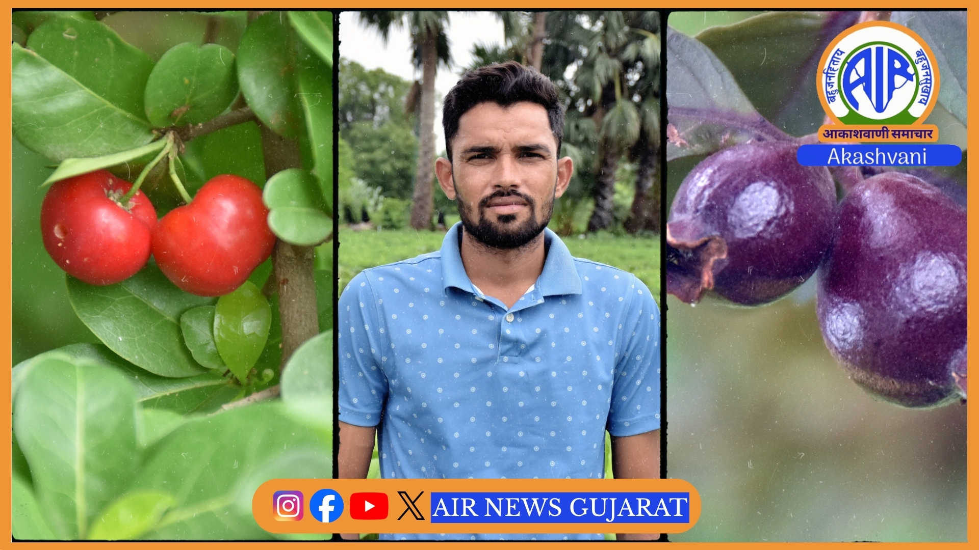 વડોદરાના વાઘોડિયાના યુવાને 15 વીઘામાં પ્રાકૃતિક ખેતી કરી મિસાલ સર્જી