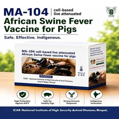India’s first indigenous  African Swine Fever Vaccine for pigs is major breakthrough in veterinary research