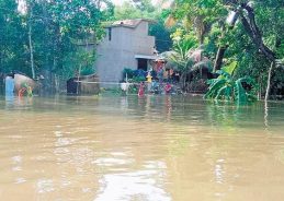 Flood Threat Mounts in Northern Odisha as Subarnarekha River Swells