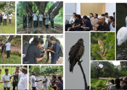 National Zoological Park hosts 2nd ‘Tree Walk’ and 11th Sunday Bird Walk