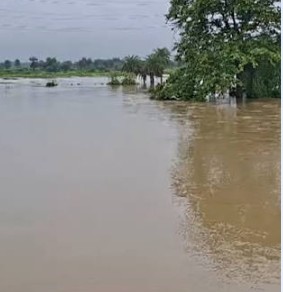 पश्चिम बंगाल में लगातार बारिश से चार जिलों की नदियों में बाढ़ जैसे हालात