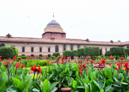 Summer Annuals of Amrit Udyan at Rashtrapati Bhavan to open for public from August 16