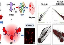 New Smart Drug RK-251 Developed as Replacement for Chemotherapy