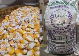 DRI Foils Attempt to Illegally Export 56 Kg Methamphetamine to Saudi Arabia, Two Arrested