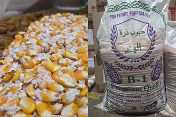 DRI Foils Attempt to Illegally Export 56 Kg Methamphetamine to Saudi Arabia, Two Arrested