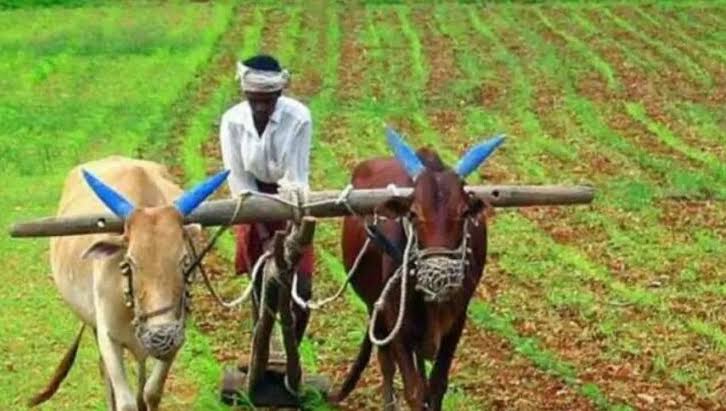 गोपीनाथ मुंडे शेतकरी अपघात सुरक्षा सानुग्रह अनुदान योजनेला तीन वर्षांची मुदतवाढ