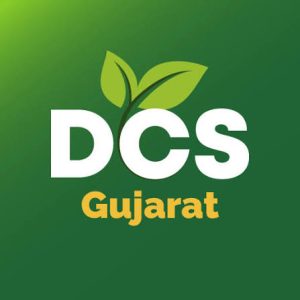 15 ઓગસ્ટથી રાજ્યમાં 45 દિવસીય ‘ડિજિટલ ક્રોપ સર્વે’ નો પ્રારંભ