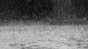 Fresh rains trigger renewed flood concerns in parts of Odisha
