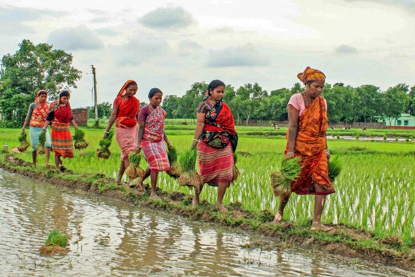 Progress of area sown under Kharif Crops crosses 967 Lakh Hectares