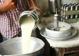 Tamil Nadu CM C. Joseph Vijay announces milk procurement price hike to 44 rupees per litre Tamil Nadu CM C. Joseph Vijay announces milk procurement price hike to 44 rupees per litre
