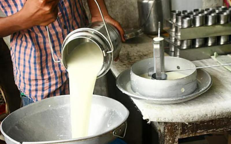 Tamil Nadu CM C. Joseph Vijay announces milk procurement price hike to 44 rupees per litre