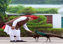 PM Modi Shares Glimpse of Morning Routine Before Independence Day Address