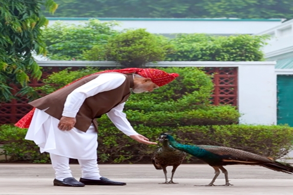 PM Modi Shares Glimpse of Morning Routine Before Independence Day Address