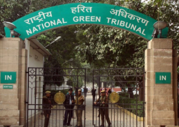 NGT seeks Centre’s response on petition challenging amended Ganga protection rules NGT seeks Centre’s response on petition challenging amended Ganga protection rules