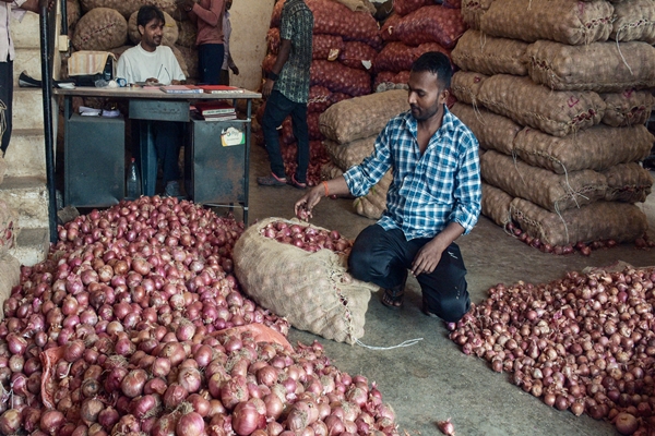 Govt begins calibrated release of buffer stock of onions to ensure availability