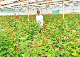 Madhya Pradesh’s Rupakheda Village becomes new model of modern farming
