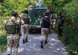Jammu and Kashmir: Security forces launch search operation in Billawar forests