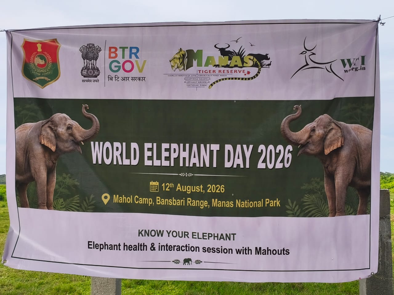 বিশ্ব হস্তী দিৱস উপলক্ষে আজি ভিন ভিন কাৰ্যসূচীৰ আয়োজন