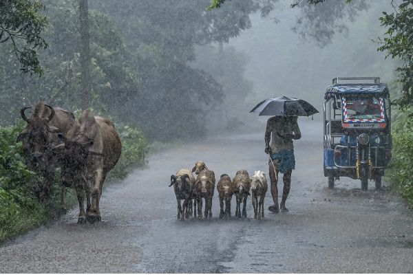 Yellow warning issued in parts of North Bengal as heavy rain forecast