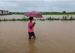 Chhattisgarh declares holiday for all schools amid continuous rain