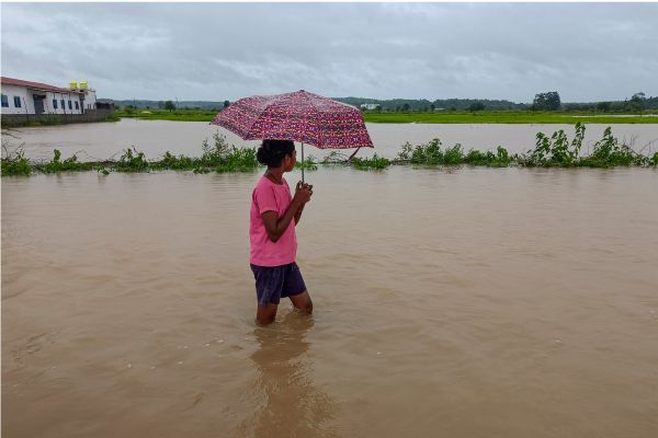 Chhattisgarh declares holiday for all schools amid continuous rain