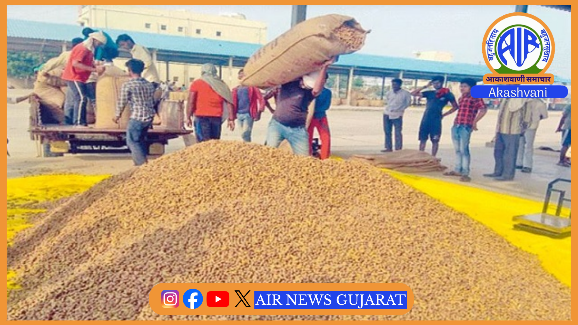 મહેસાણામાં મગફળી, મગ, અડદ અને સોયાબીનની લઘુતમ ટેકાના ભાવે ખરીદી માટે આગામી 9 ઓકટોબર સુધી ઓનલાઈન નોંધણી થઈ શકશે