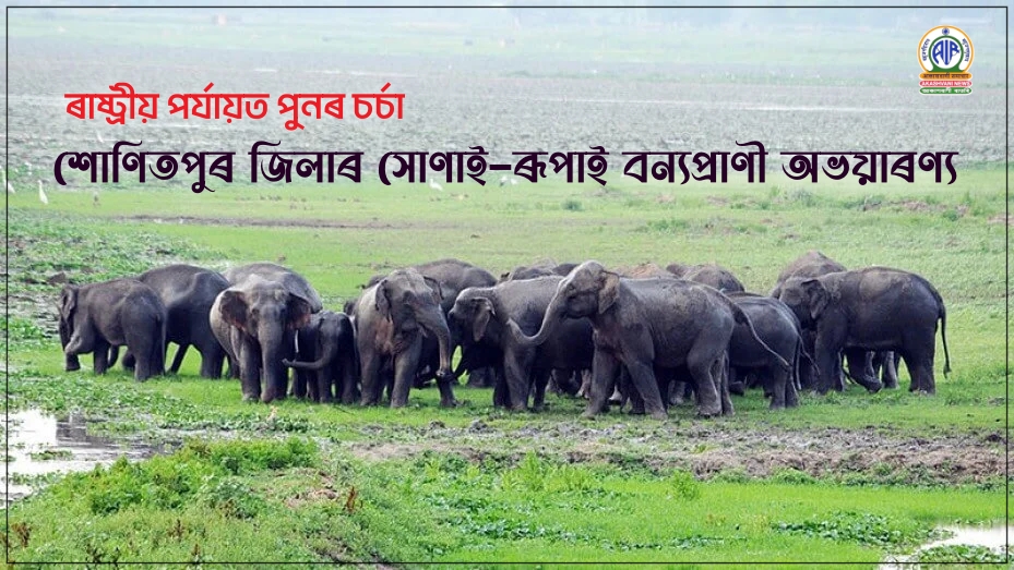 শোণিতপুৰ জিলাৰ সোণাই-ৰূপাই বন্যপ্রাণী অভয়াৰণ্যৰ বিষয়টো ৰাষ্ট্ৰীয় পৰ্যায়ত পুনৰ চৰ্চা