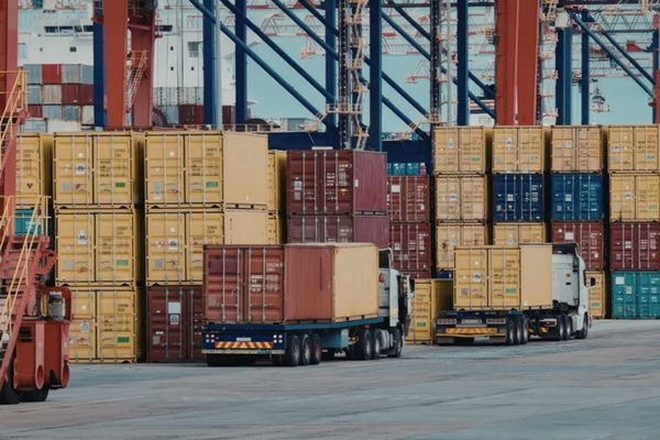 Govt removes registration requirement for small exporters to reduce compliance burden