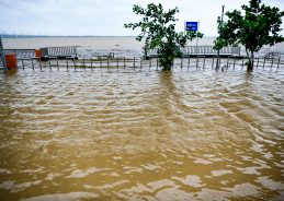 Flood situation worsens across Bihar as major rivers rise Flood situation worsens across Bihar as major rivers rise