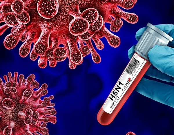 Authorities in Australia confirm Sydney’s 1st case of H5N1 bird flu strain