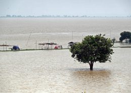 Bihar steps up flood control measures as Ganga erosion intensifies
