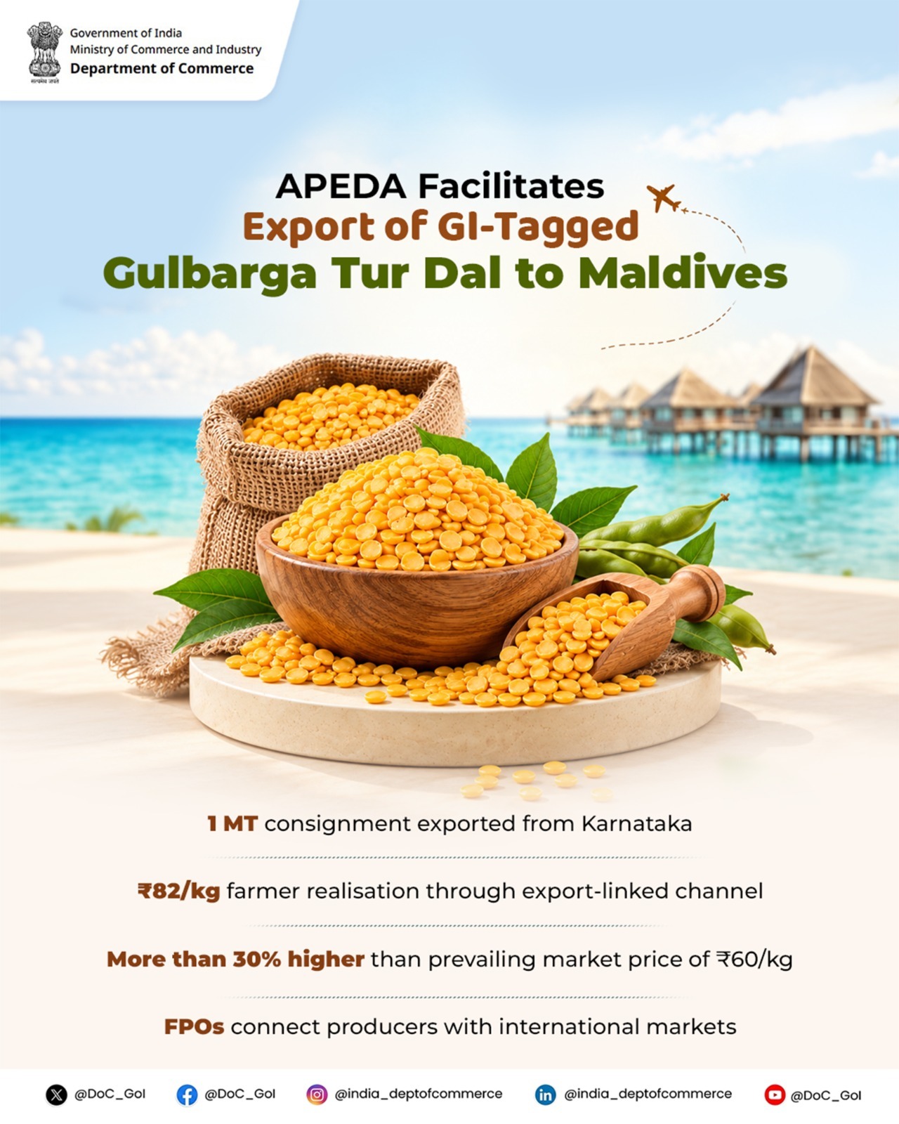 GI-Tagged Gulbarga Tur Dal Exported to Maldives from Karnataka