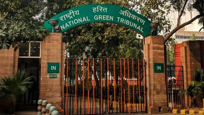 Clean air is fundamental need, not an environmental luxury: NGT Chairperson